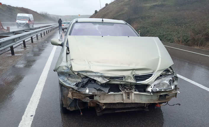 Yola fırlayan köpekler kazaya sebep oldu