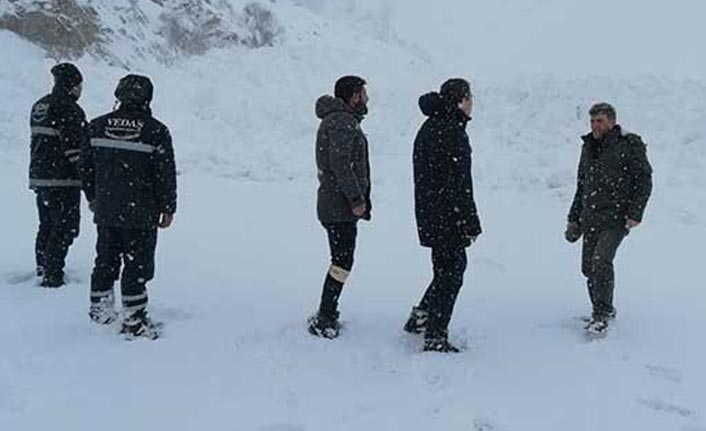 Van'ın iki köy yoluna çığ düştü