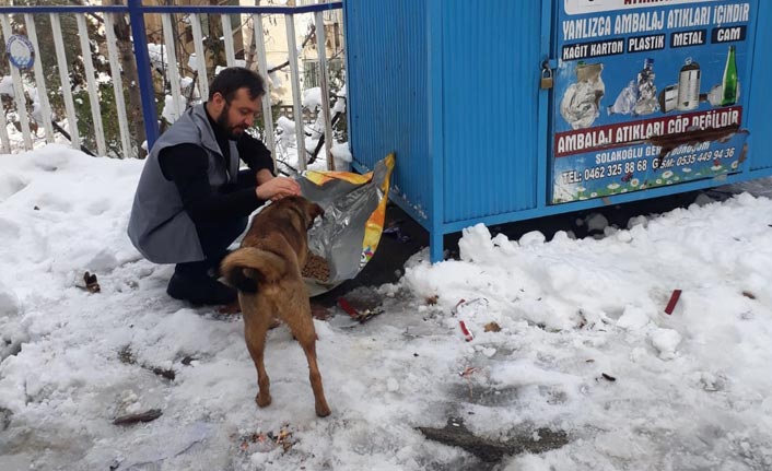 Minik dostlar için her gün mama bırakılıyor!