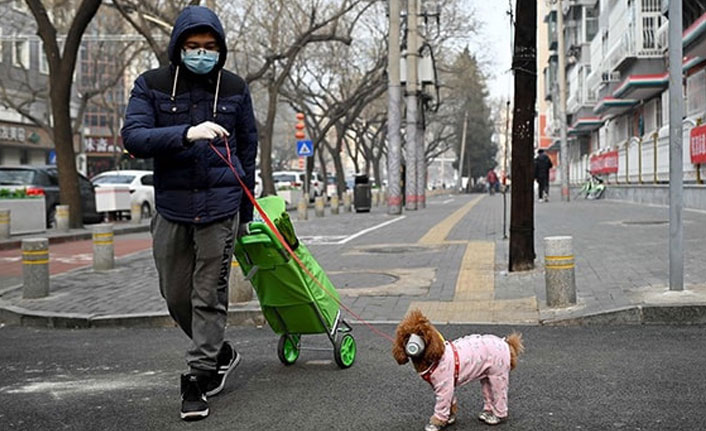 Koronavirüs bir ülkede daha görüldü!