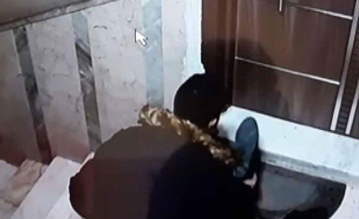 11 apartmandan 25 çift ayakkabıyı numaralarını kontrol edip, çaldı