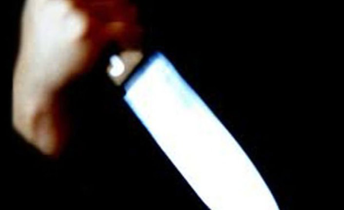 Korkunç cinayette korkunç ifade: Sesler öldür dedi!