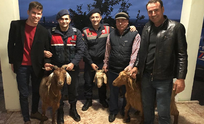 Alkol almak için keçi çaldılar