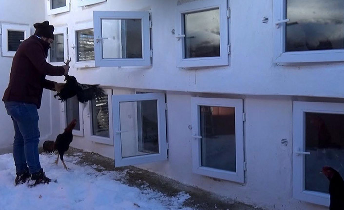 Hobi olarak başladı geçim kaynağı oldu