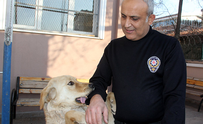 Kaybolan köpek karakola sığındı