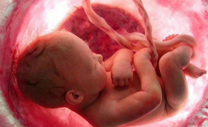 "Cinsel farklılaşma anne karnındayken başlıyor"