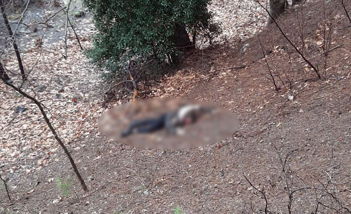 Kumalığı kabul etmeyen kadının başını taşla ezerek öldürdü