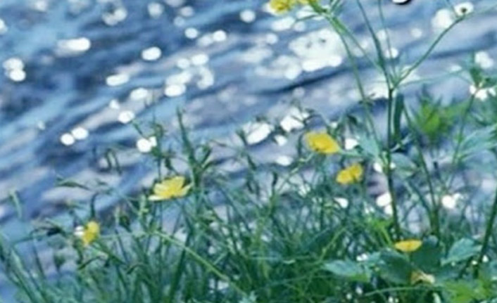 İkinci cemre de düştü! Cemre nedir?