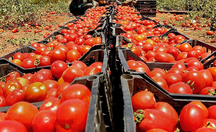Trabzonlu ihracatçılar Rusya'nın kotayı kaldırmasını istiyor