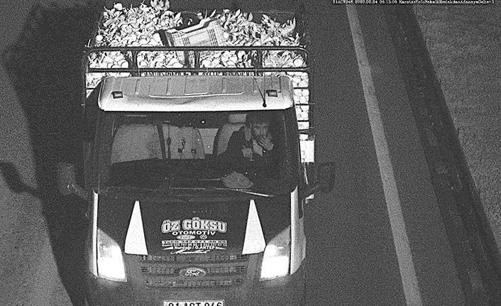 2 buçuk ton portakal çaldı