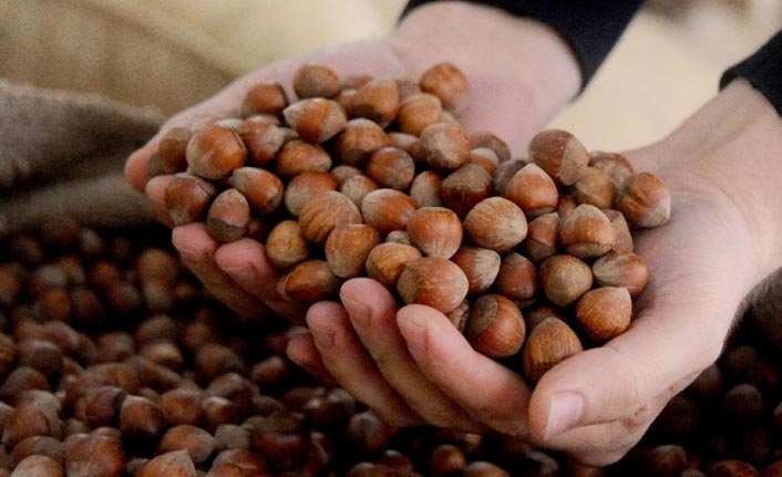 Fındıkta hedef tuttu