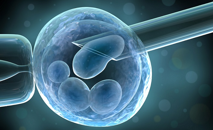 Adım adım tüp bebek tedavisi