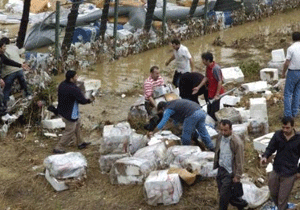 Minibüs tutup yağmaya geldiler