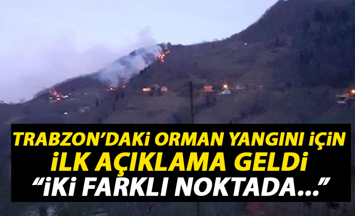 Trabzon'daki orman yangını ile alakalı ilk açıklama geldi
