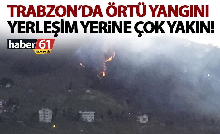 Trabzon'da bir örtü yangını daha! Yakınında evler var!