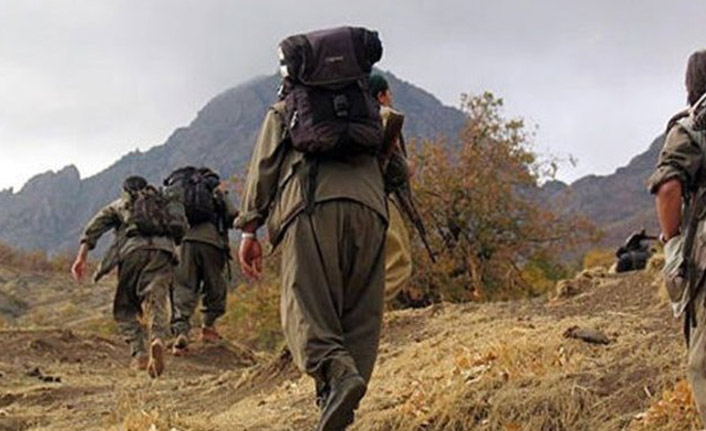 Trabzon'da öğrenciyken terör örgütüne katıldı! İkna yoluyla teslim oldu