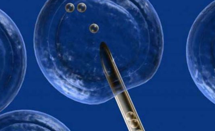 Varikosel ve Azospermi Tedavisinde Yeni Bulgular Anlatıldı