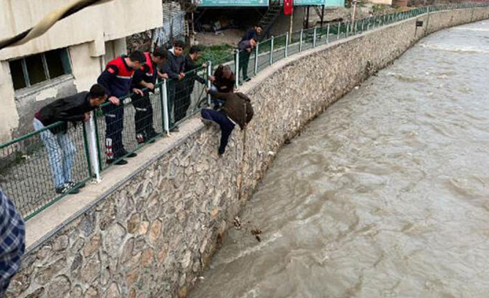 Irmakta mahsur kalan kedi, balıkçı kepçesiyle kurtarıldı