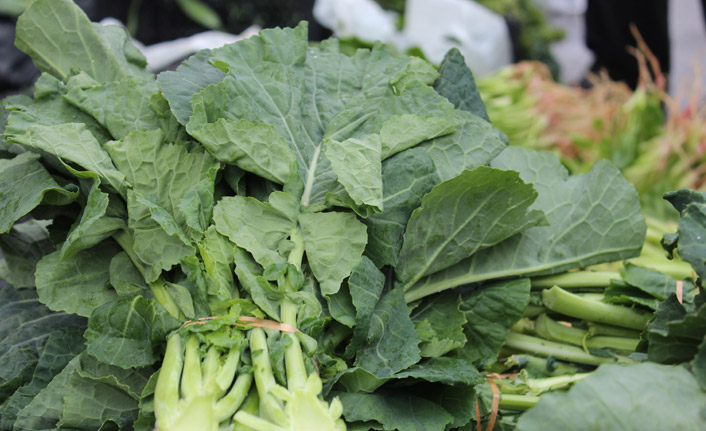 Uzmanından koronavirüs uyarısı! Karalahana