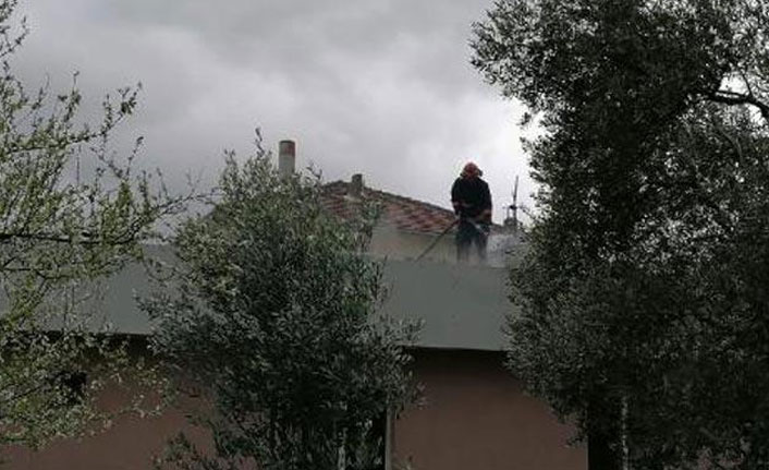 Sakarya'da korkutan yangın!