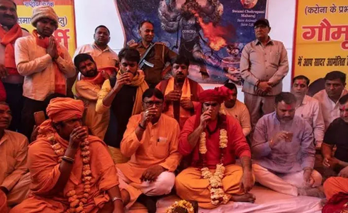 İnanılmaz! Koronavirüse karşı "inek idrarı" içiyorlar