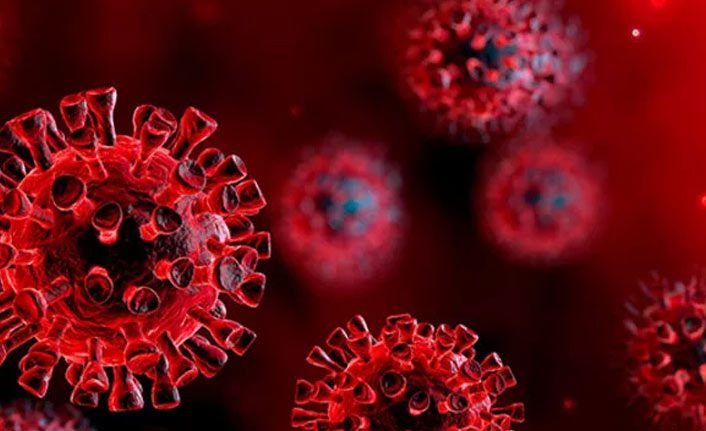 Dünya Sağlık Örgütü koronavirüs aşısı için tarih verdi!