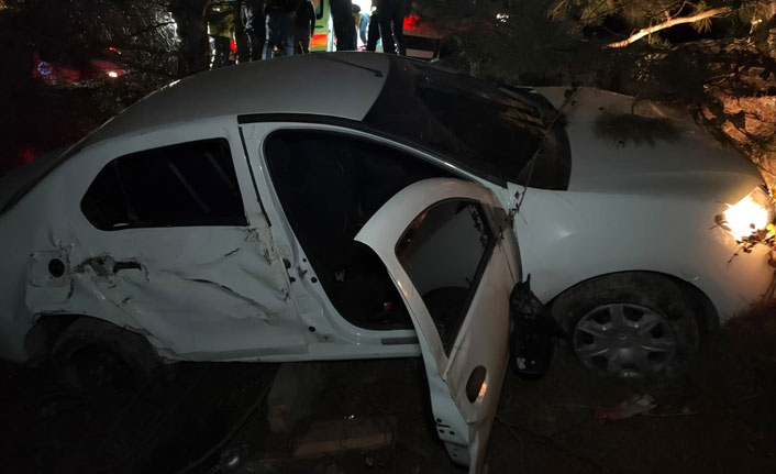 Otomobil ağaca çarpıp şarampole uçtu: 1 ölü 3 yaralı