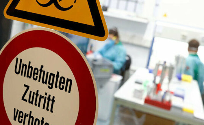 Alman yetkililer açıkladı! Ölümler neden düşük?