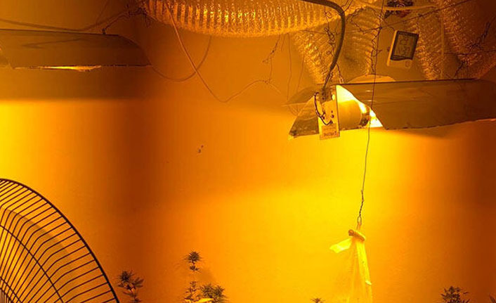 Evi kenevir serasına çevirmiş