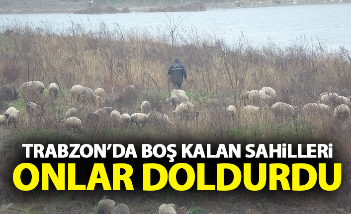 Trabzon'da boş kalan sahilleri onlar doldurdu
