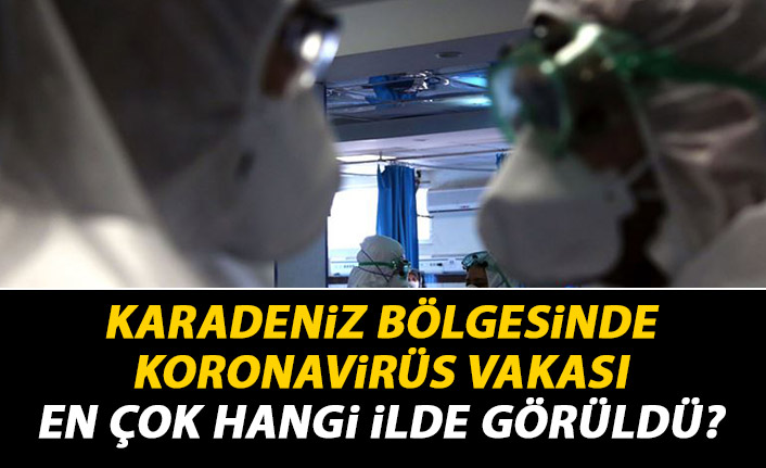 Karadeniz Bölgesi'nde en fazla Koronavirüs vakası hangi ilde?