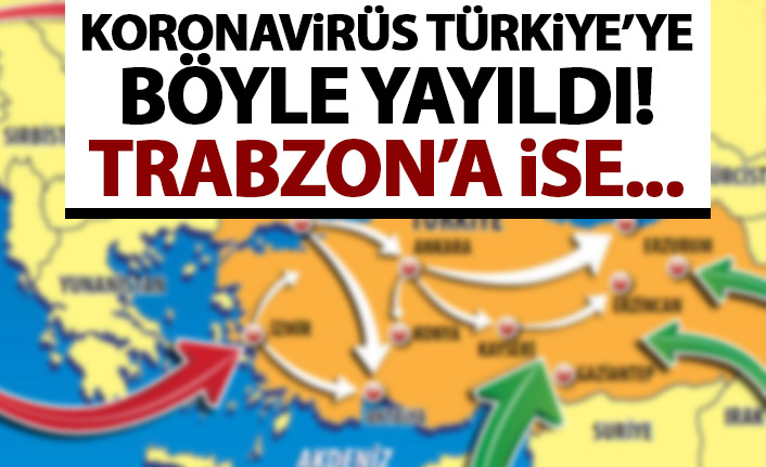 Koronavirüs Türkiye'ye böyle yayıldı! Trabzon'a nasıl ulaştı?