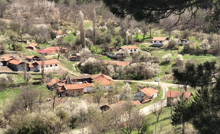 Köyde koronavirüs karantinası