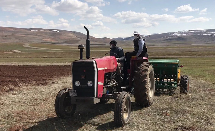 Eldiven ve maske takıp tarlaya indiler