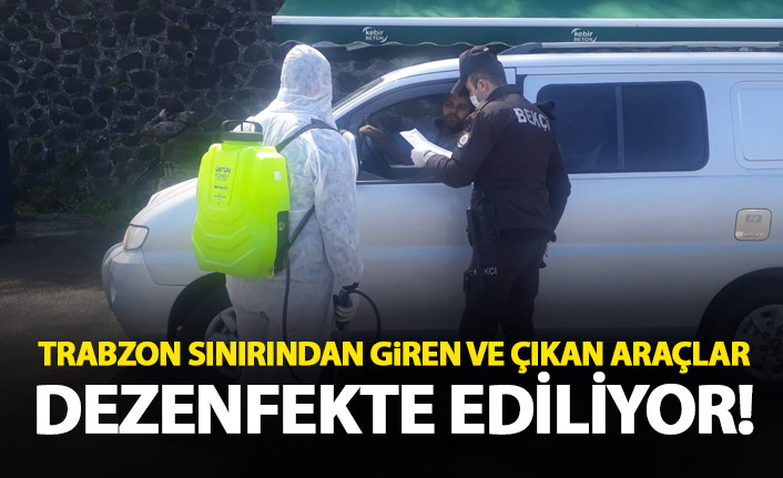 Trabzon sınırından giren araçlara ilaçlama