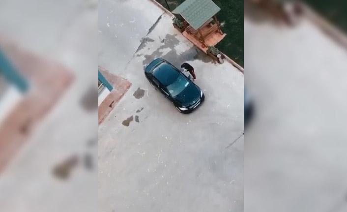 Trabzon’da süt aldı şok yaşadı! İmdadına onlar yetişti