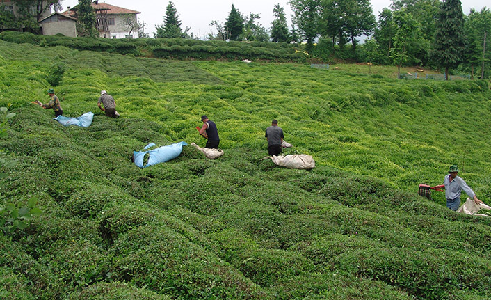 Cumhurbaşkanı Erdoğan’ın tarım çağrısına destek