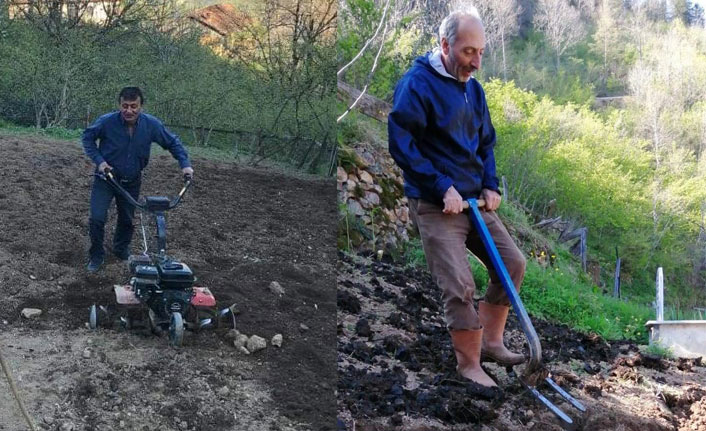 Trabzon'da din görevlileri yaşlıların tarla işlerine yardım ediyor