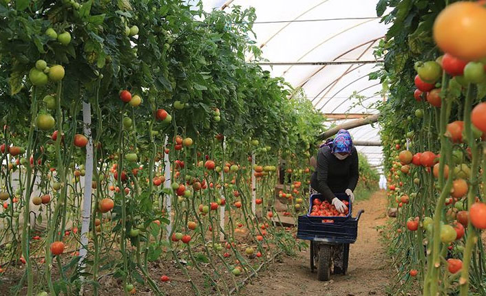 Bakanlıktan tarladaki çiftçiye Kovid-19 uyarısı