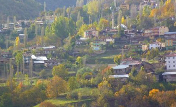 Tokat'ın Çaykıyı köyü de karantinaya alındı