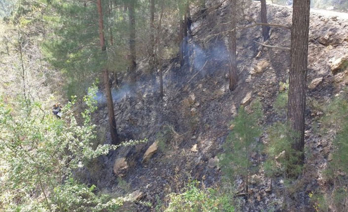 Antalya'da korkunç ölüm!