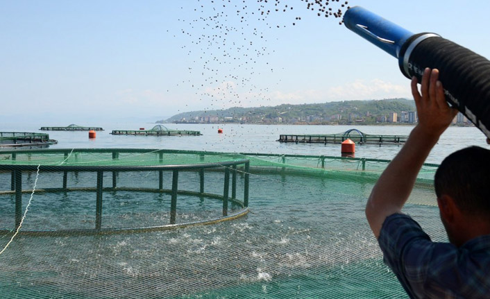 Karadeniz'de av sezonu bitti, kültür balıkçılığına ilgi arttı