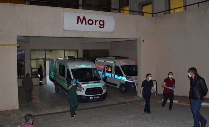 Düşen yıldırım can aldı