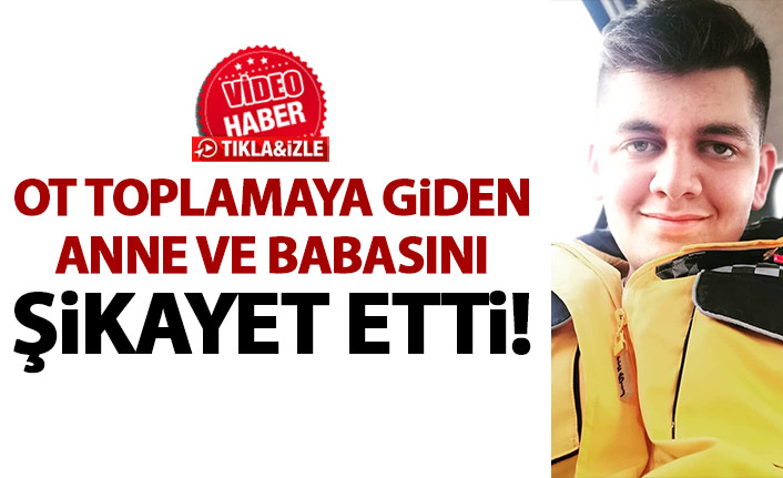 Ot toplamaya giden anne ve babasını şikayet etti