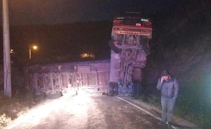 Odun yüklü kamyon devrildi