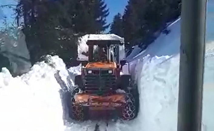 Doğu Karadeniz'de karla mücadele sürüyor