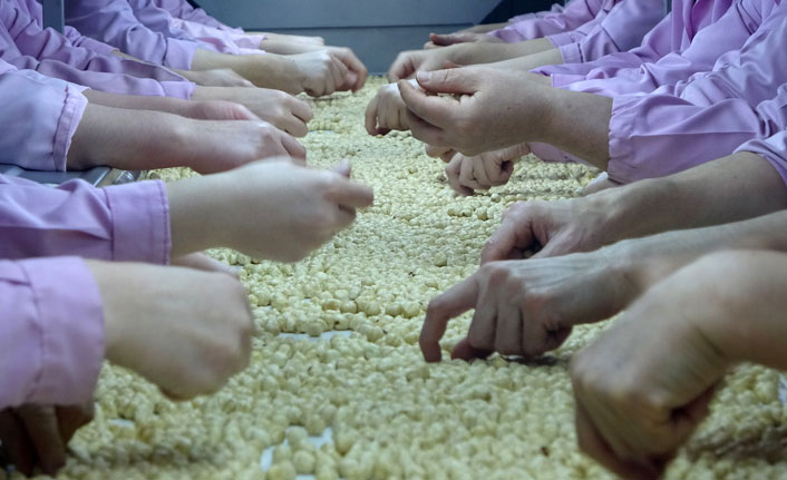 Koronavirüse rağmen fındık ihracatında azalma yok