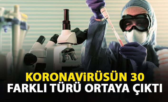 Koronavirüsün 30 farklı türü ortaya çıktı