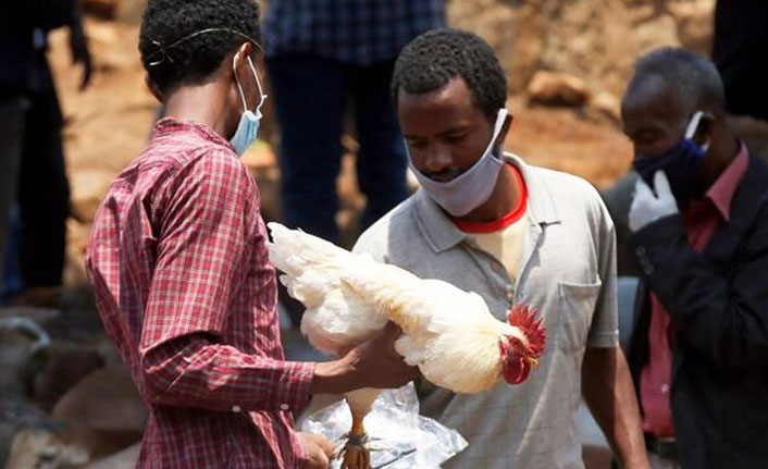 Dünya Sağlık Örgütü'nden yeni salgın uyarısı!