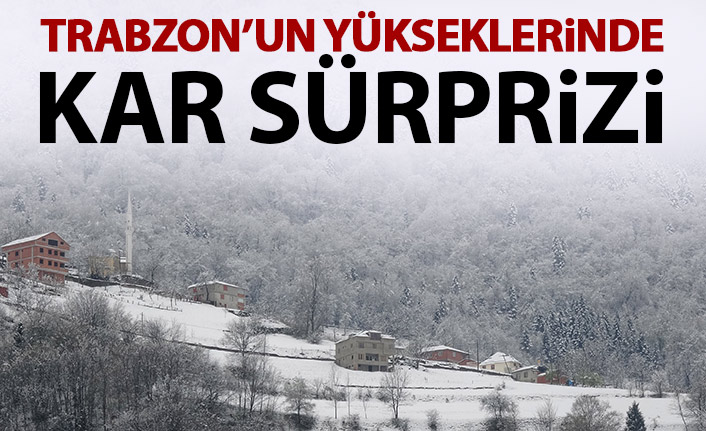 Trabzon'un yükseklerine kar yağdı